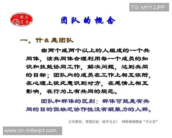 2026年3月份新闻广州羽毛球队配合表现数据分析揭示团队协作与胜利的关系